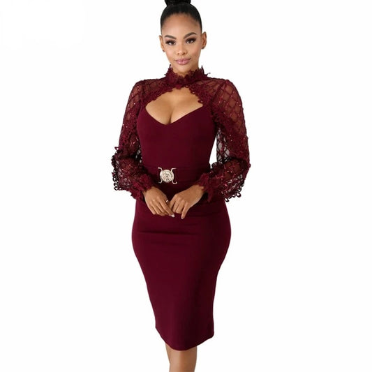 Sheer Long Sleeve Elegant Mid-Length Fitted Dress