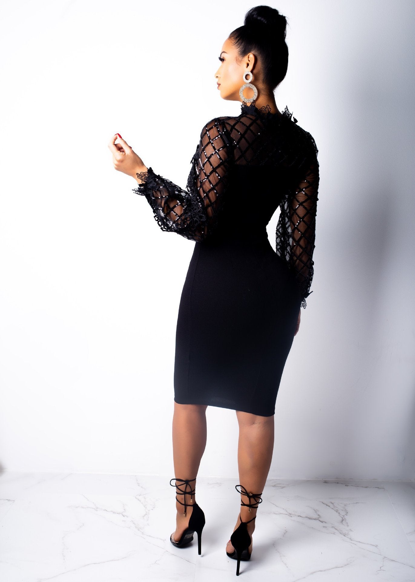 Sheer Long Sleeve Elegant Mid-Length Fitted Dress