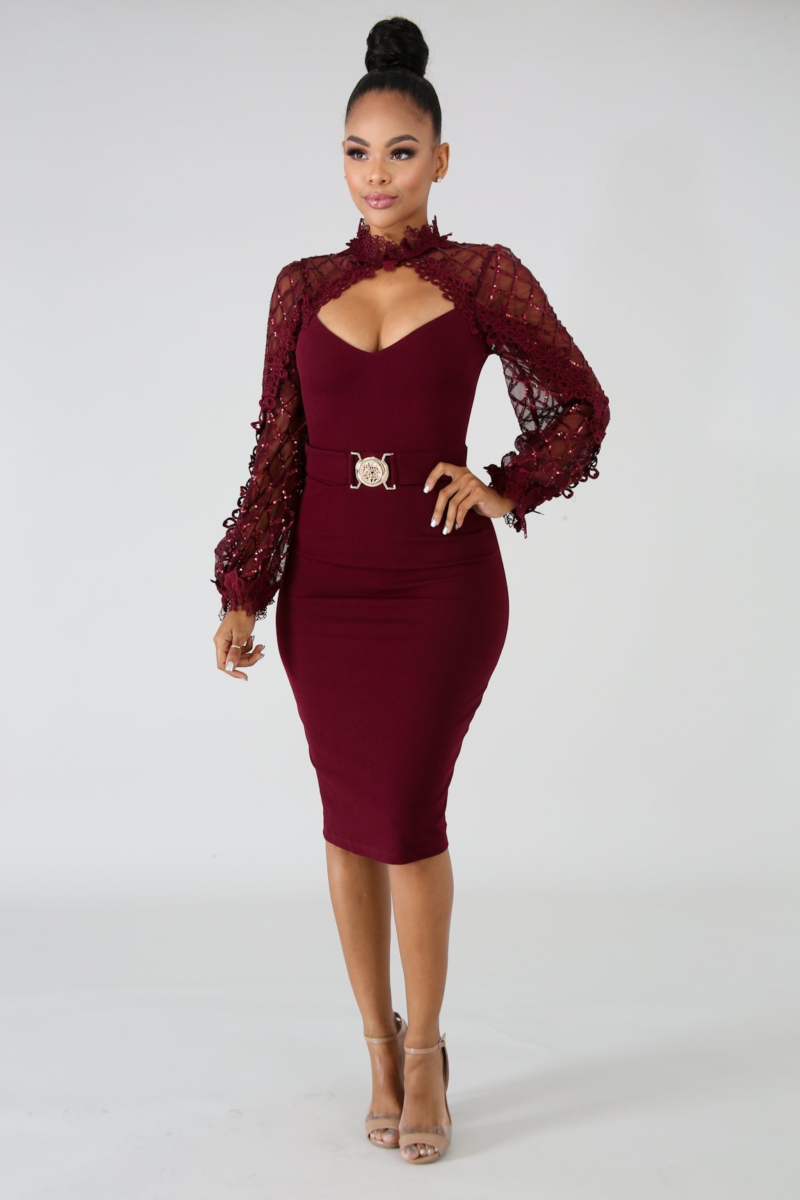 Sheer Long Sleeve Elegant Mid-Length Fitted Dress