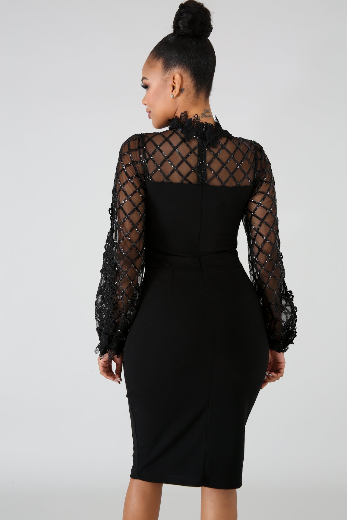 Sheer Long Sleeve Elegant Mid-Length Fitted Dress